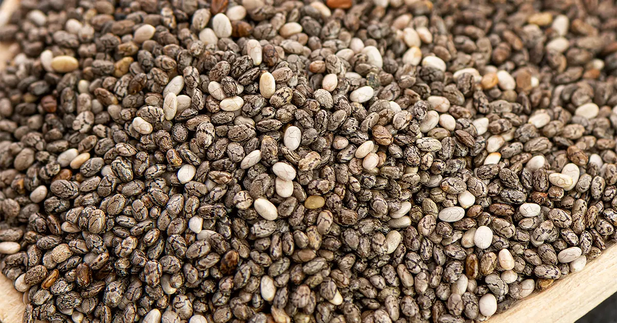 Chia Seed () Chia Seed