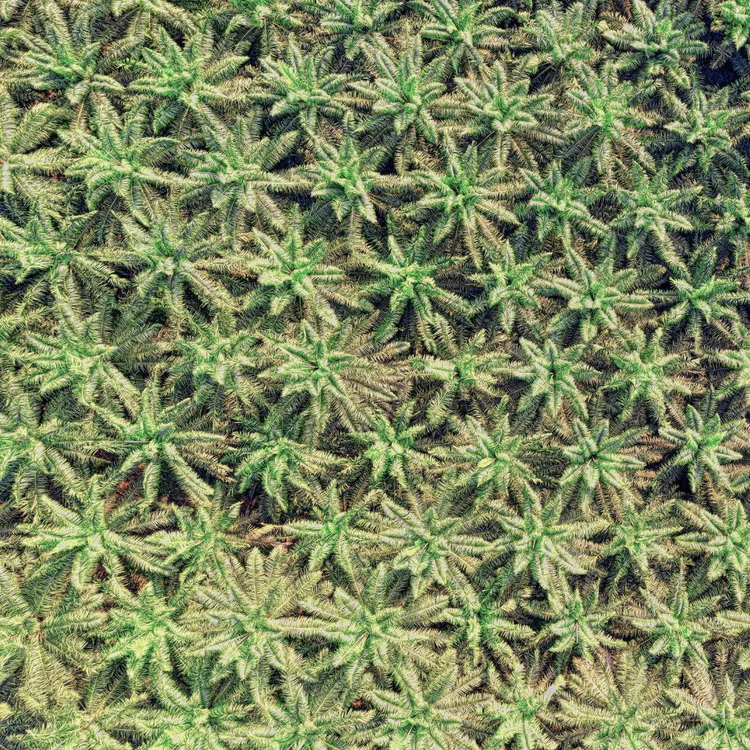 Gesichtspflege myrto