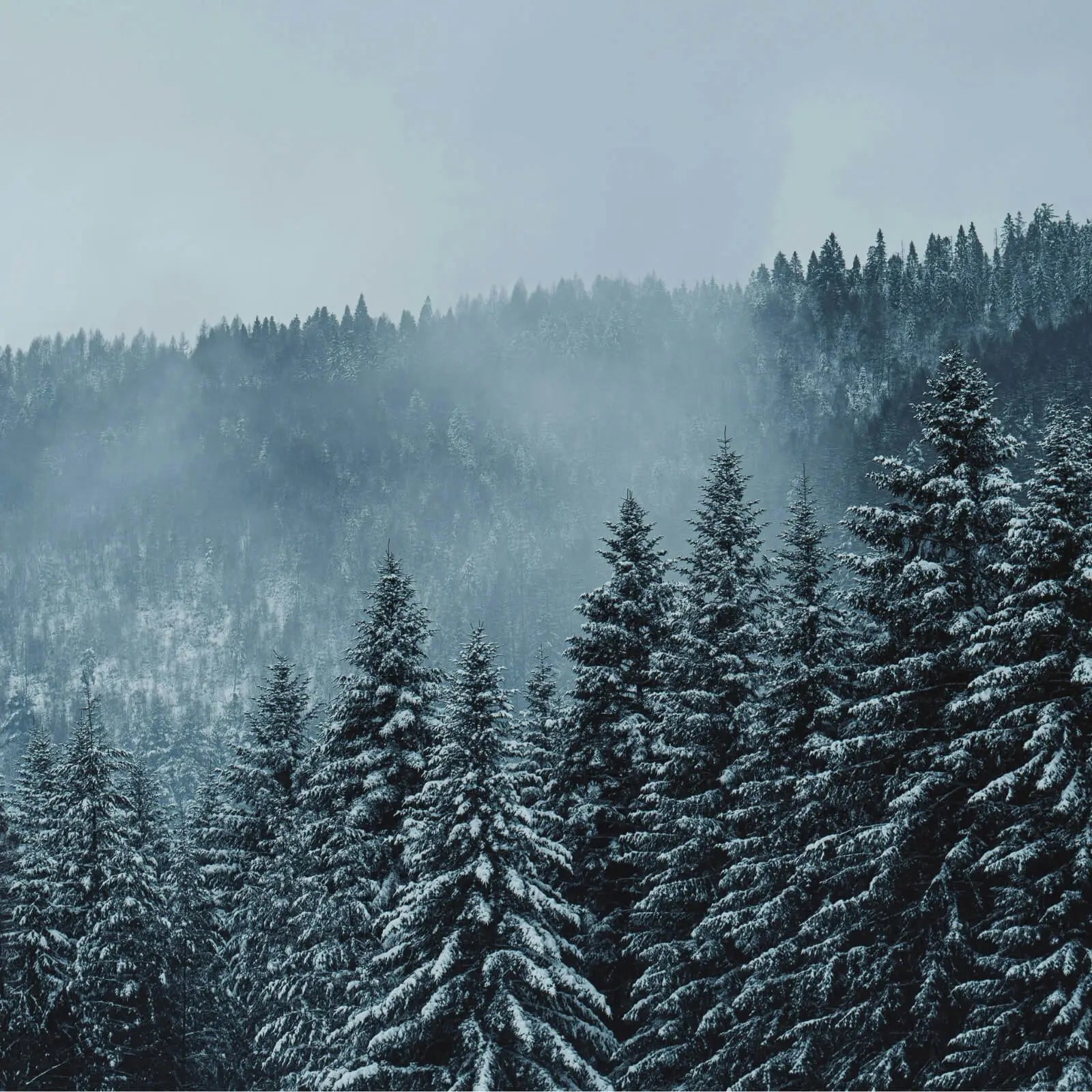 Myrto Naturkosmetik Handpflege im Winter