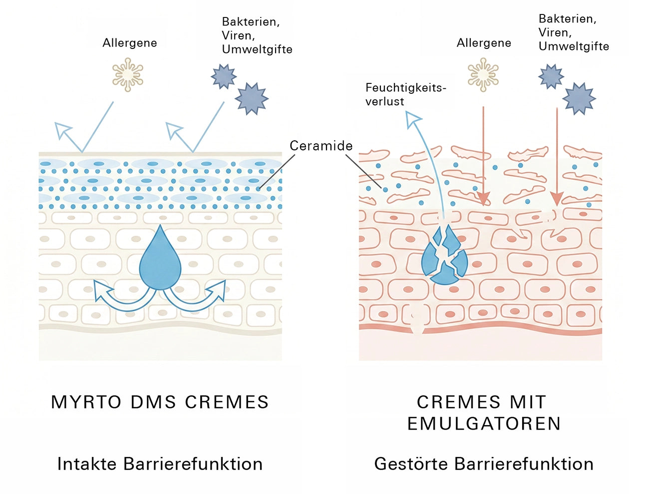Myrto DMS Cremes ohne Emulgatoren | Intakte Barrierefunktion ohne Auswascheffekt