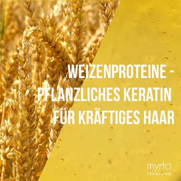 Weizenproteine-pflanzliches-Keratin_DSC0271b