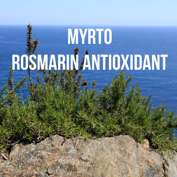 Rosmarin-Antioxidant-IMG_4234
